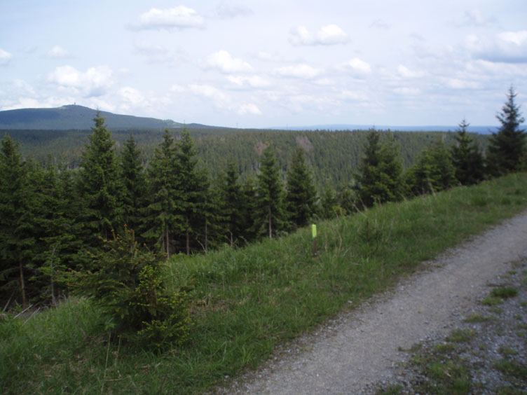 P5200021