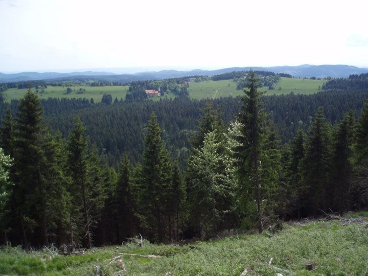 P5200030