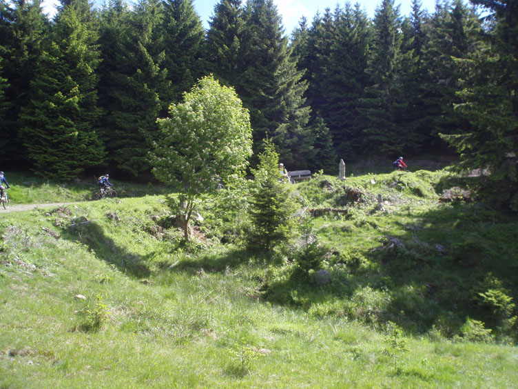 P5230241