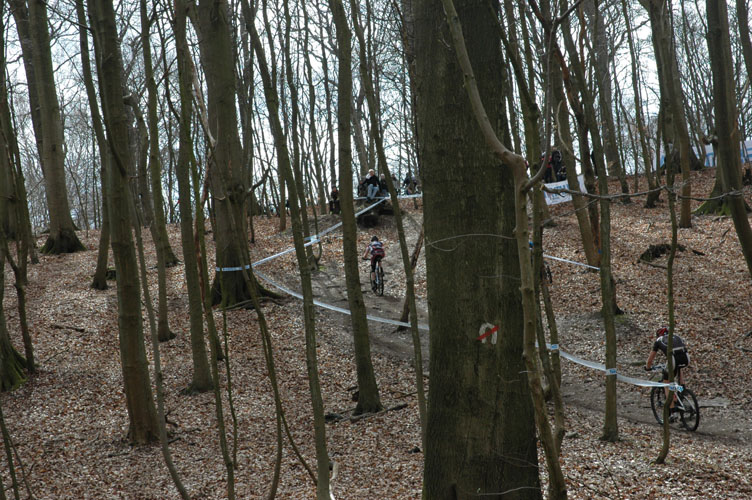 DSC_6298