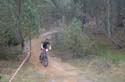 DSC_0340
