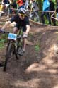 DSC_0771