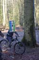 DSC_0009