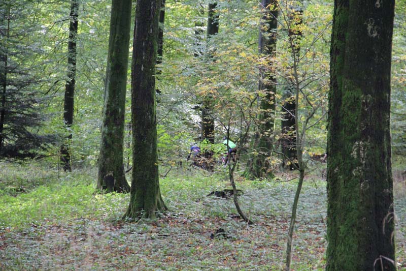 IMG_2348