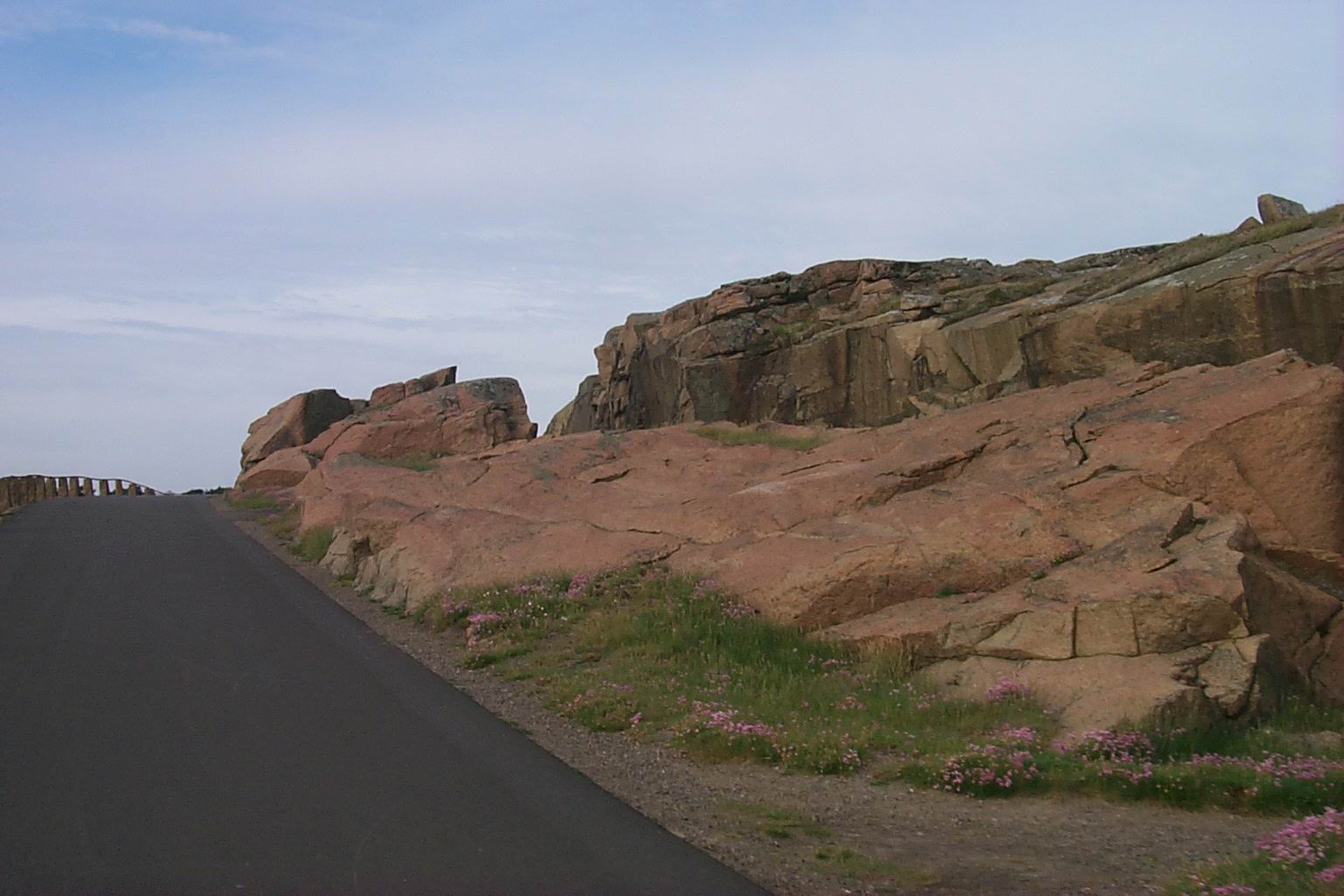 Image-16.JPG