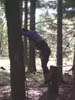 image0041a